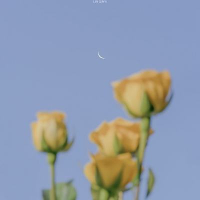 金年会app下载入口