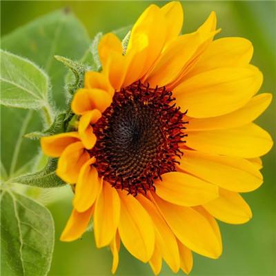 星空app官方版app下载